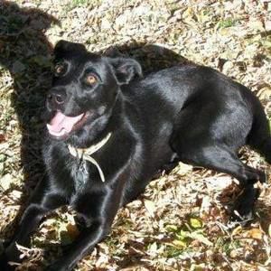 Meet your Posher, Cooper